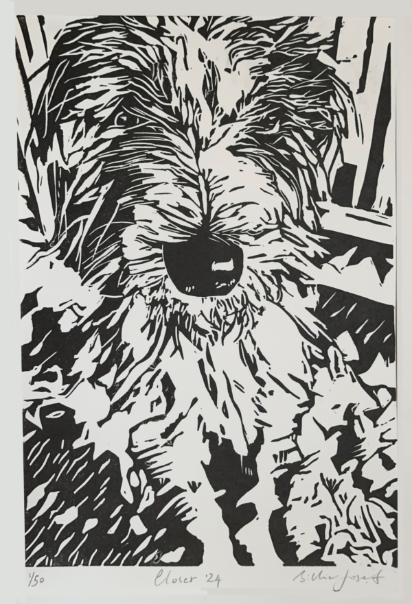 image of Bonnie, a Bedlington Terrier and Whippet cross